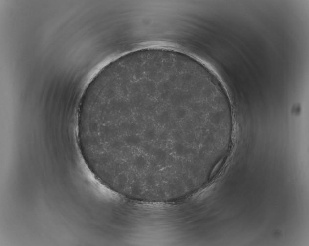 X0000114180999200911051546