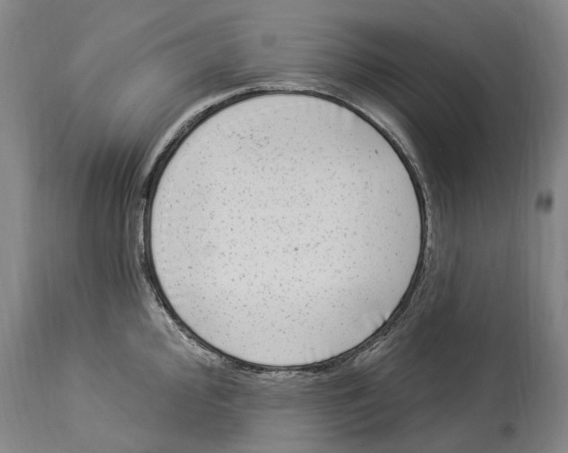 X0000114181000200911051546