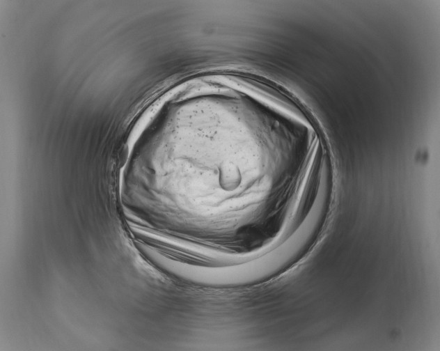 X0000114181001200911051546