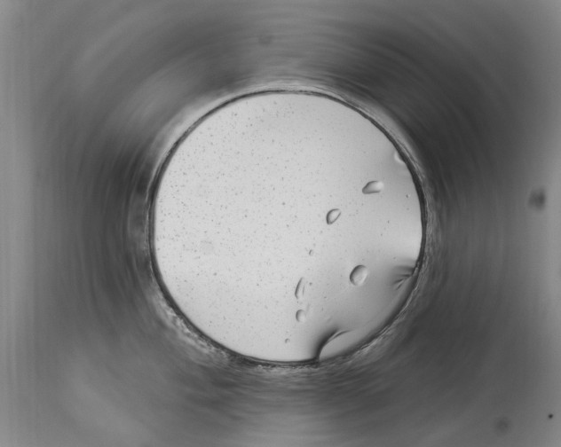 X0000114181004200911051546