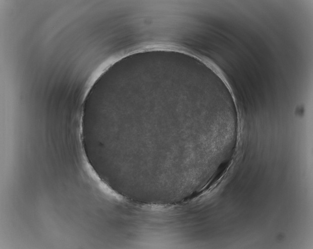 X0000114181005200911051546