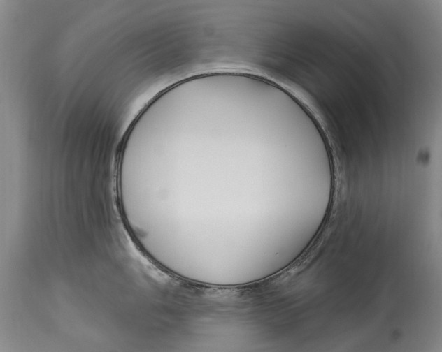 X0000114181006200911051546