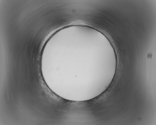 X0000114181008200911051546