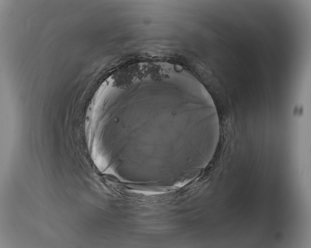 X0000114181009200911051545