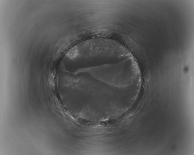 X0000114181010200911051545