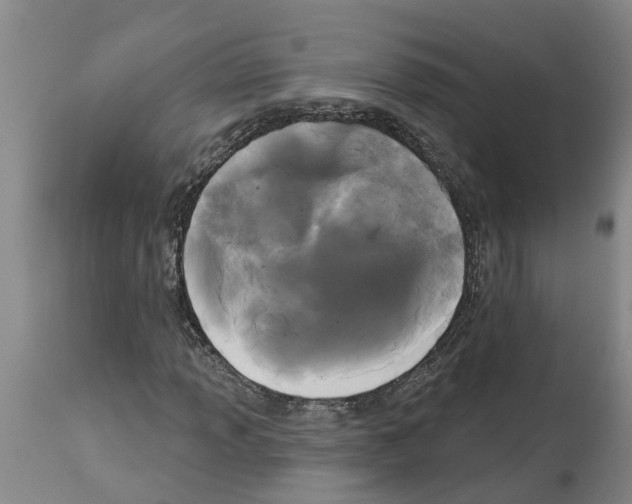 X0000114181013200911051545