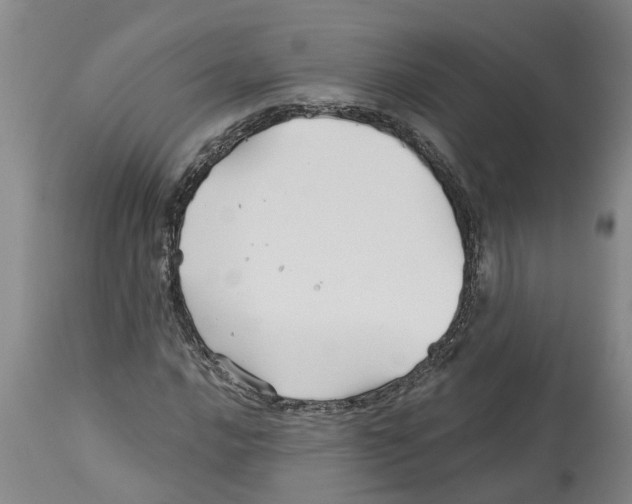 X0000114181016200911051545