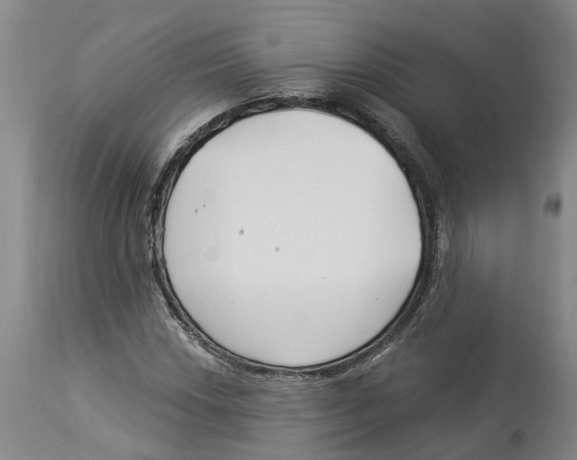 X0000114181018200911051545