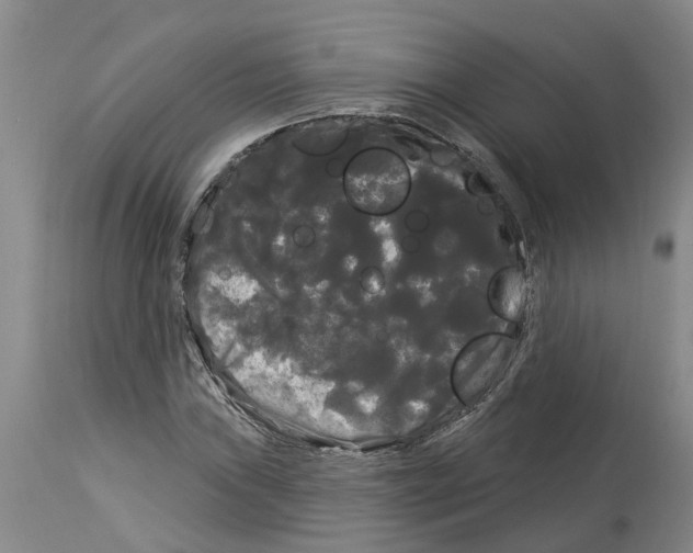 X0000114181019200911051545