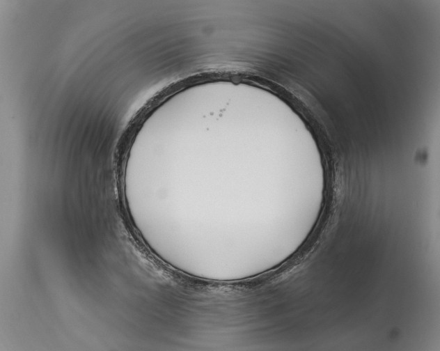 X0000114181022200911051545