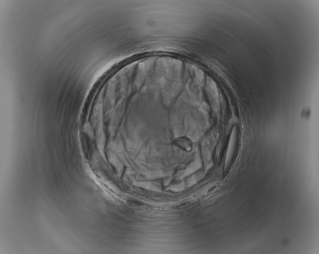 X0000114181024200911051546