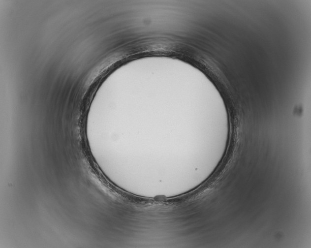 X0000114181026200911051546