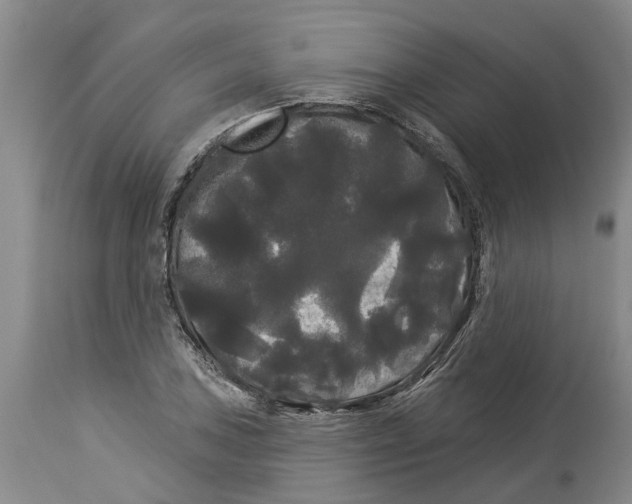 X0000114181027200911051546