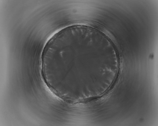 X0000114181028200911051546