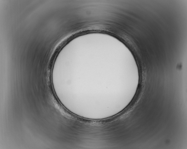 X0000114181029200911051546