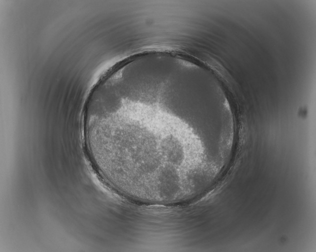 X0000114181030200911051546