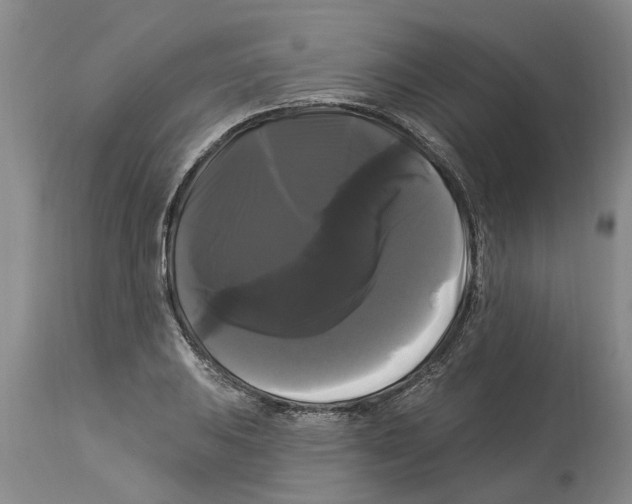 X0000114181031200911051546