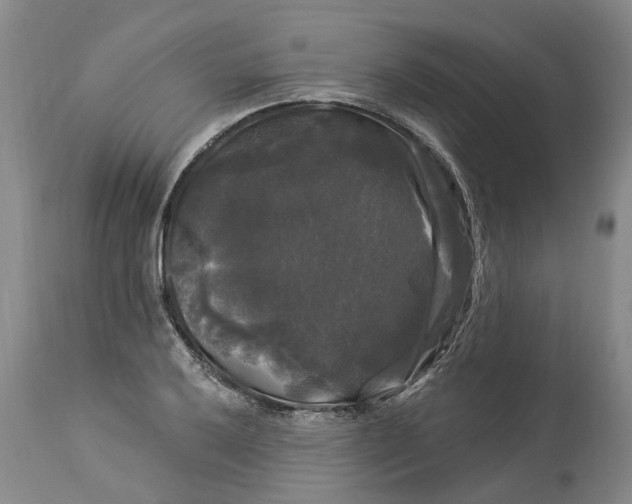 X0000114181032200911051546