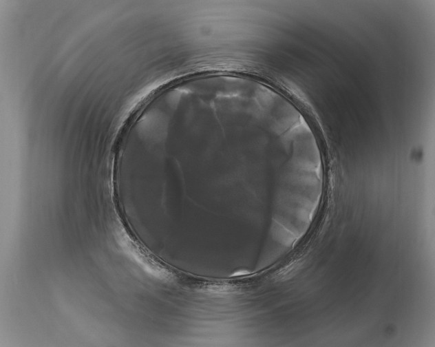 X0000114181035200911051546