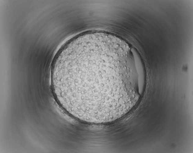 X0000114181036200911051546