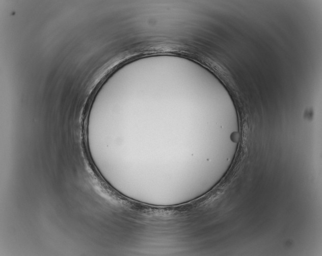 X0000114181039200911051546