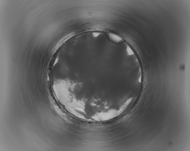 X0000114181042200911051546