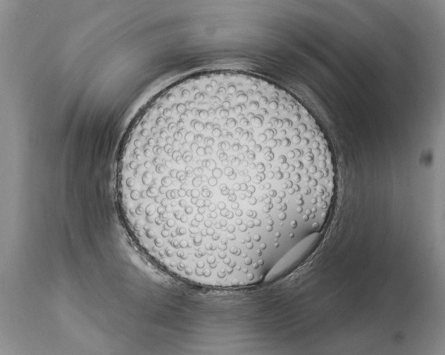 X0000114181044200911051546