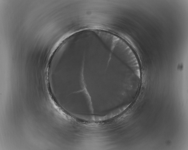 X0000114181048200911051546