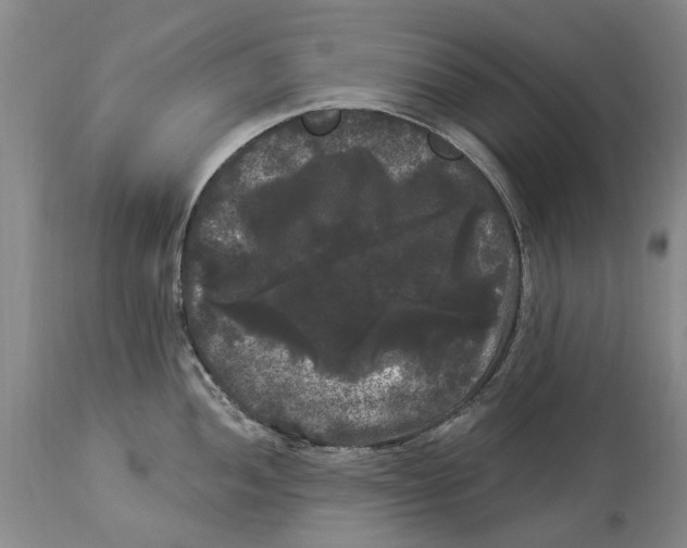 X0000114181052200911051546