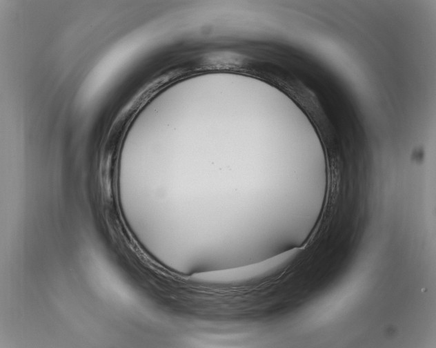 X0000114181054200911051546