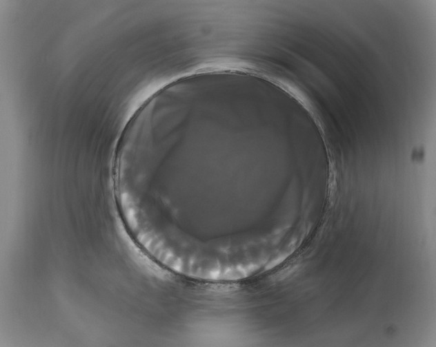 X0000114181055200911051546