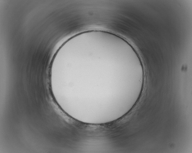 X0000114181056200911051546