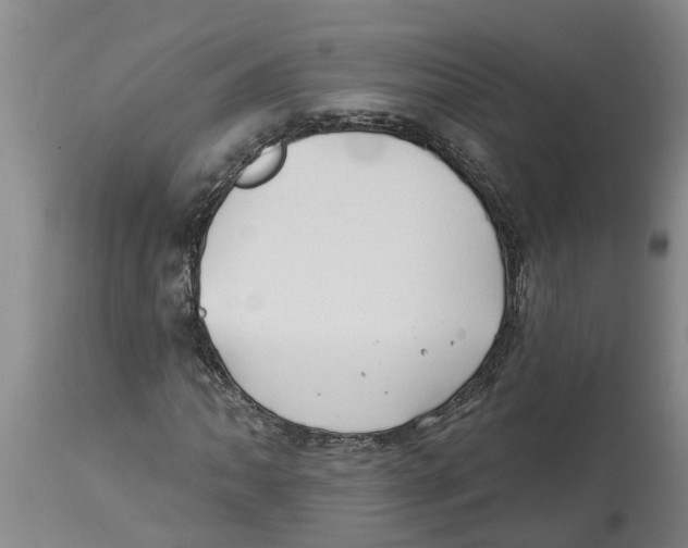 X0000114181062200911051545