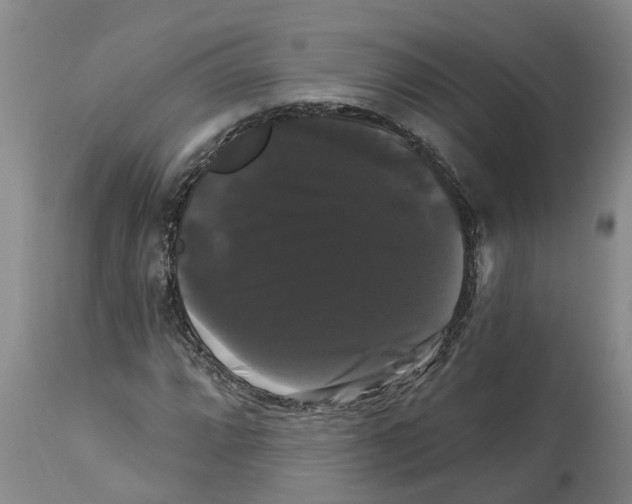 X0000114181064200911051545