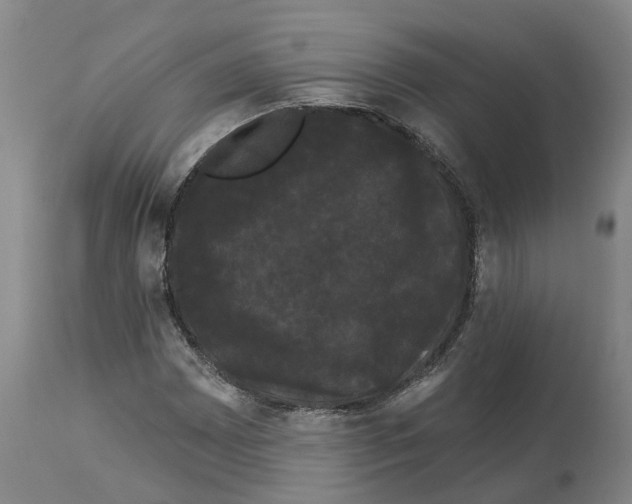 X0000114181065200911051545