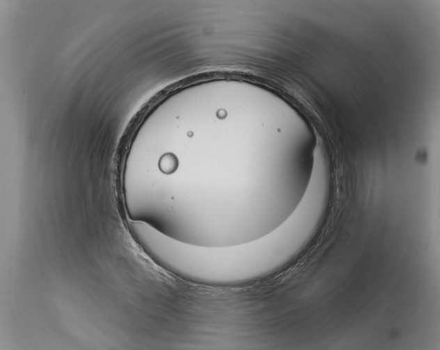 X0000114181068200911051545