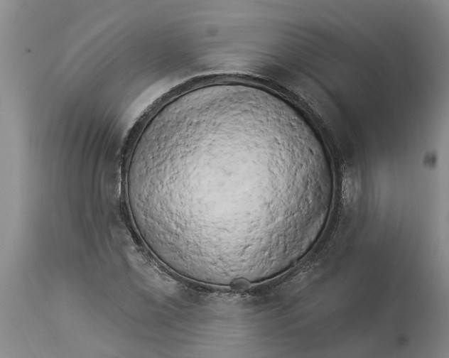 X0000114181069200911051545