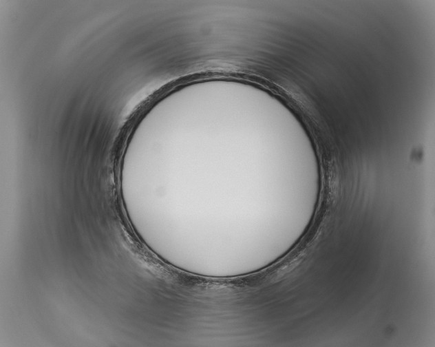 X0000114181070200911051545