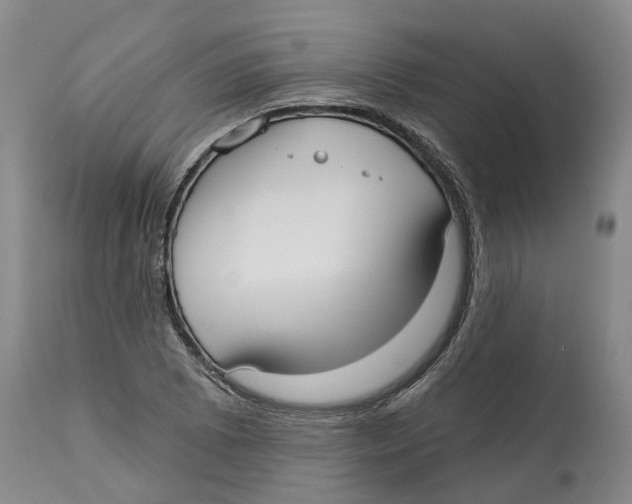 X0000114181073200911051545