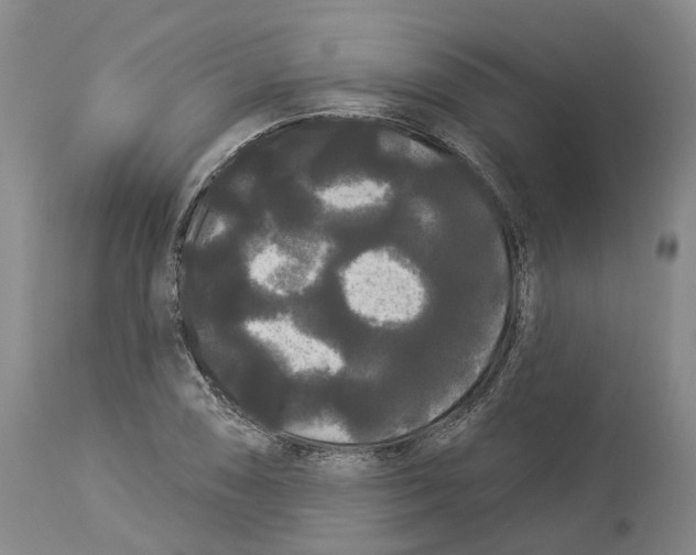 X0000114181074200911051545