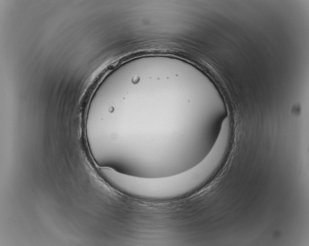 X0000114181075200911051545