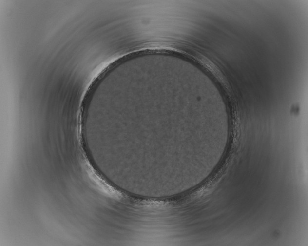 X0000114181076200911051545