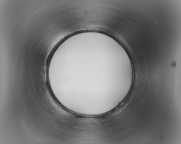 X0000114181079200911051545