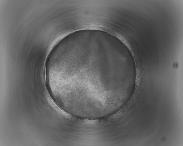 X0000114181080200911051545