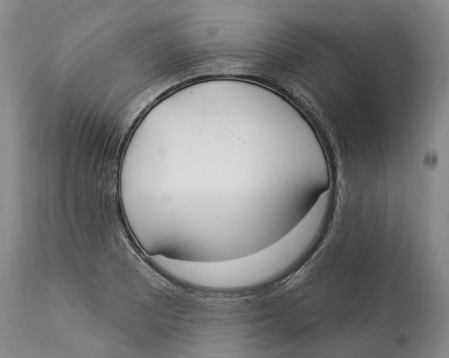 X0000114181081200911051545