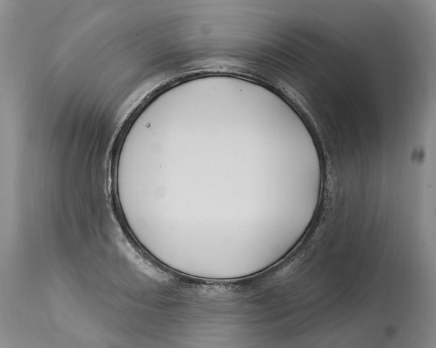 X0000114181082200911051545