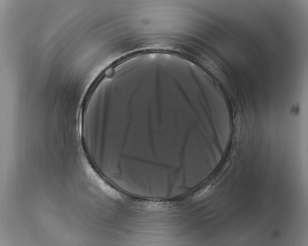 X0000114181084200911051545