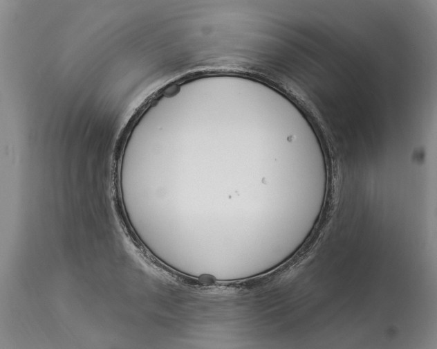 X0000114181085200911051545