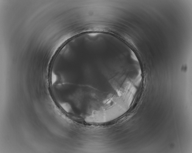 X0000114181087200911051545