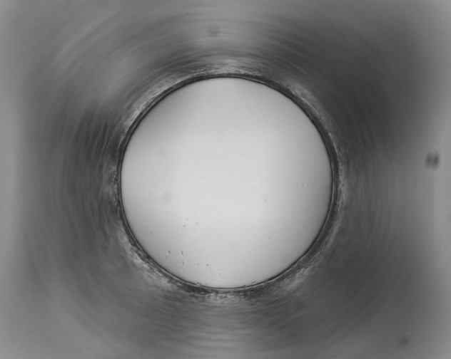 X0000114181089200911051545